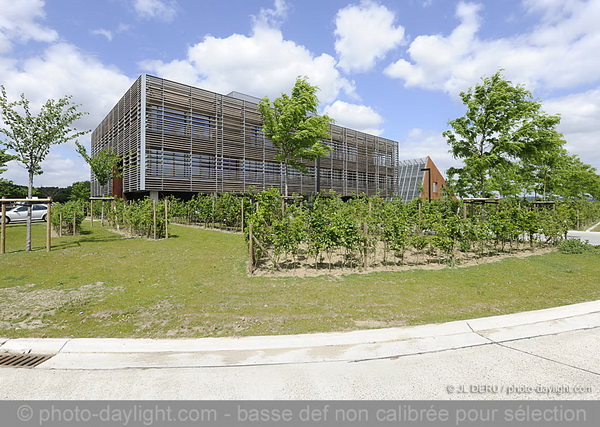 Tournai-Ouest
Negundo Innovation Center